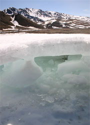 60A 867 Auf ice, Denali National Park, Alaska. © ADAMS / HANSEN PHOTOGRAPHY