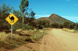 Camel crossing sign.   &copy; ADAMS / HANSEN STOCK PHOTOS