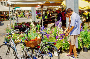 71-3-N Viktualien Markt, Munich. © ADAMS / HANSEN STOCK PHOTOS
