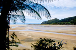 9-27-I     Beach at low tide, Abel Tasman National Park, New Zealand.  &copy; ADAMS / HANSEN STOCK PHOTOS