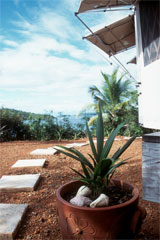 View from casita at Islas Secas Resort. © ADAMS / HANSEN STOCK PHOTOS