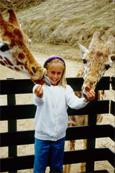 53-8-A   Girl feeding giraffes, Wild Animal Park, San Diego.  &copy; ADAMS / HANSEN STOCK PHOTOS