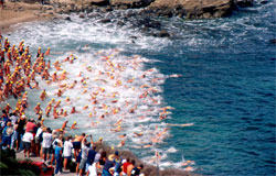 51-34-O Rough Water Swim Race , La Jolla.  &copy; ADAMS / HANSEN STOCK PHOTOS