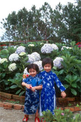 Girls in au dai (traditional dress), Dalat, Vietnam. © ADAMS / HANSEN STOCK PHOTOS